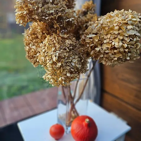 Strefa Relaxu U Jj Holiday home Powalki