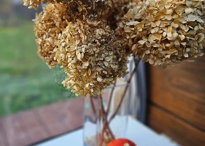 Strefa Relaxu U Jj Holiday home Powalki